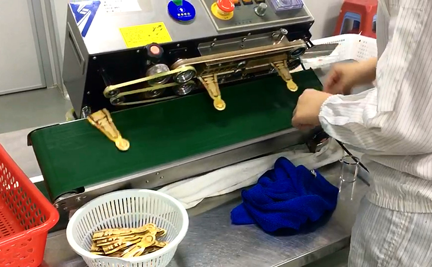 bag sealing machine .jpg